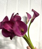 Callas, mini-hot pink