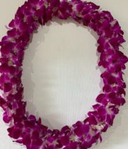 Orchid Lei, Dendro Double-white/purple