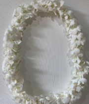 Orchid Lei, Dendro Double-white