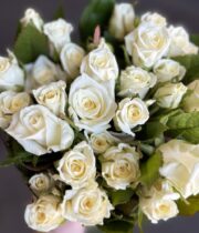 Rose Sweetheart, Escimo-CA