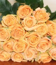 Roses - Florabundance Wholesale Flowers