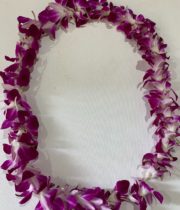 Orchid Lei, Dendro Single-white/purple