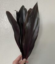 Ti Leaf-black