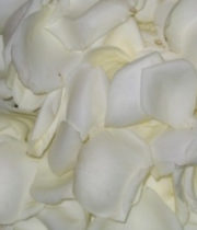 Rose Petal Bag-white
