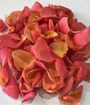 Rose Petal Bag-coral