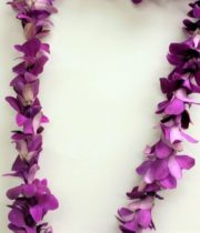 Orchid Lei, Dendro Single-purple
