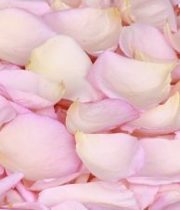 Rose Petal Bag-light Pink