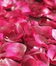 Rose Petal Bag-hot Pink