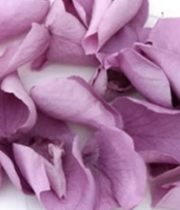 Rose Petal Bag-lavender