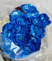 Carnations-tinted blue