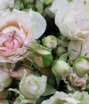 Rose Spray, Bridal Bouquet-CA
