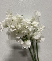 Sweet Peas, import-white