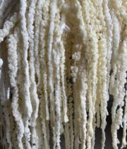 Dried Hanging Amaranthus-bleached