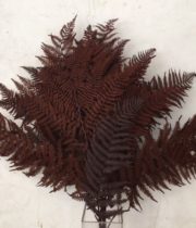 Dried Leather Leaf-brown