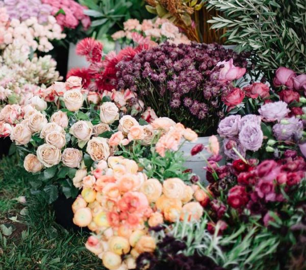 Florabundance Wholesale Flowers for Floral Designers