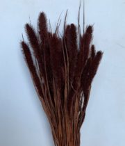 Dried Millet-chocolate