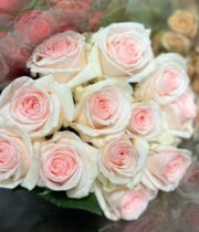 Garden Roses - Florabundance Wholesale Flowers
