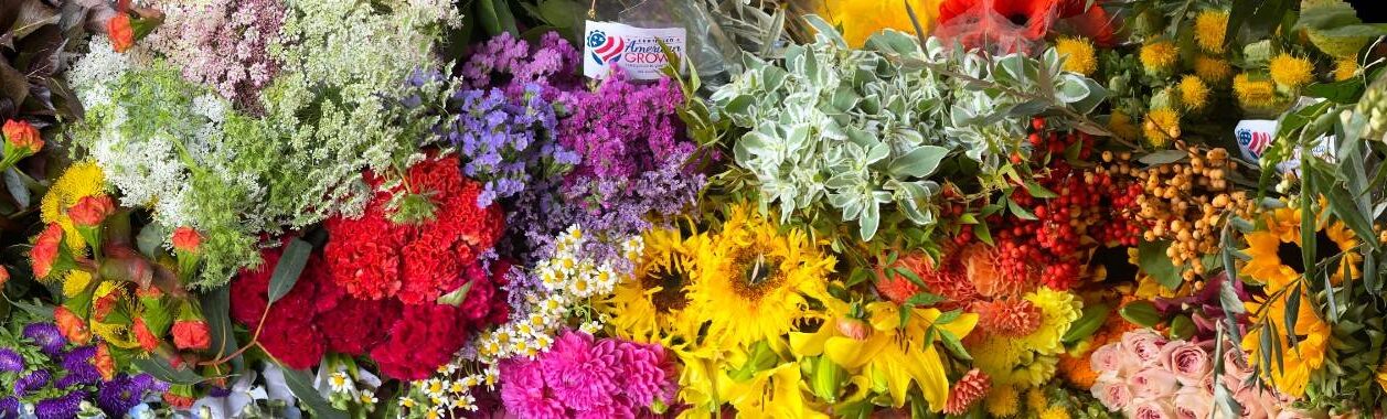 Florabundance Becomes A Certified American Grown Wholesaler