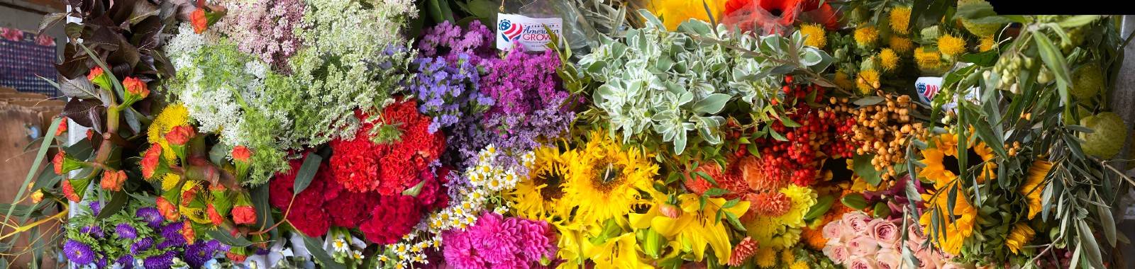 Florabundance Becomes A Certified American Grown Wholesaler