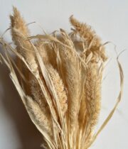 Dried Millet-bleached