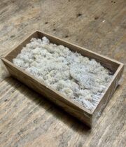 Preserved Moss-white