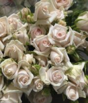 Rose Spray, Royal Porcelina-CA