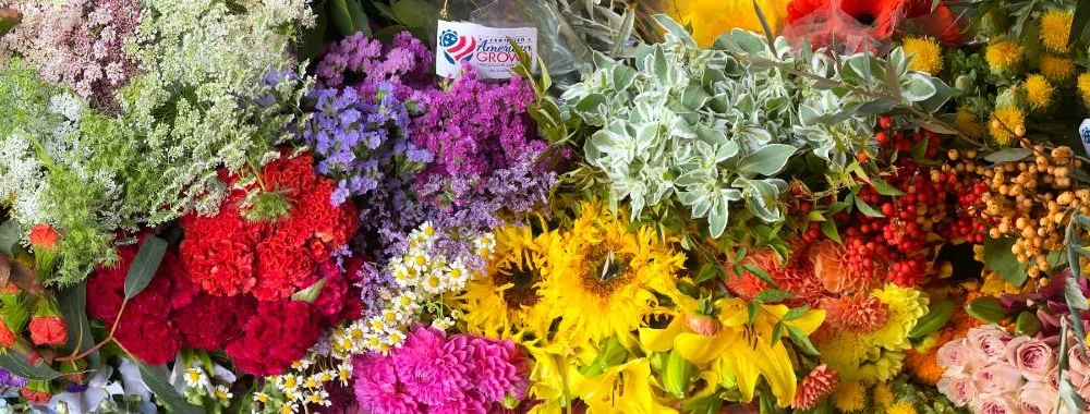 Assorted wholesale flowers including lavender roses, cream dahlias, and blush peonies in an outdoor garden setting