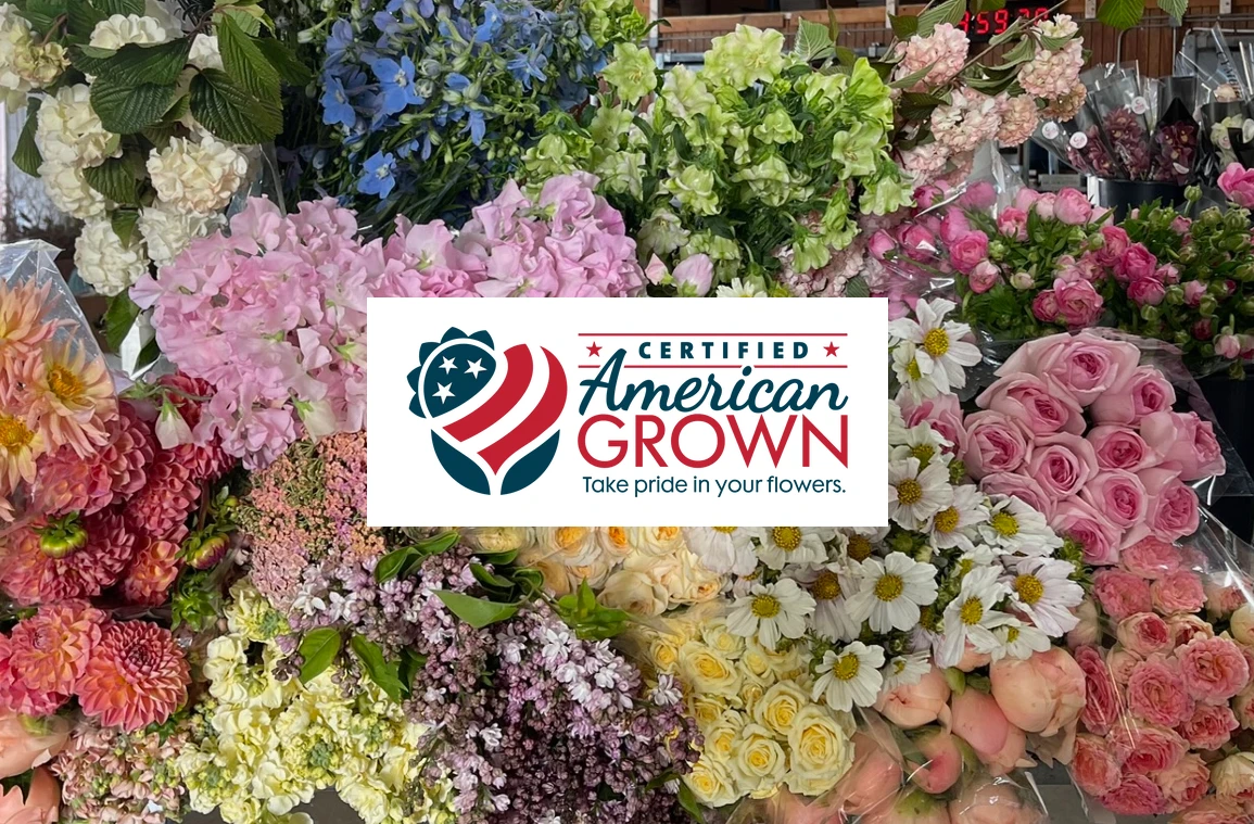 July American Grown Flowers available at Florabundance, including cosmos, delphinium, lisianthus, roses, limonium, stock, and dahlias in peak summer color