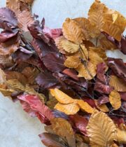 Copper Beech-assorted color bunch