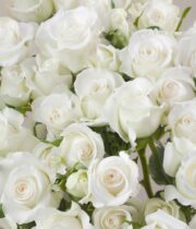 Rose Spray, Shining Star-SA