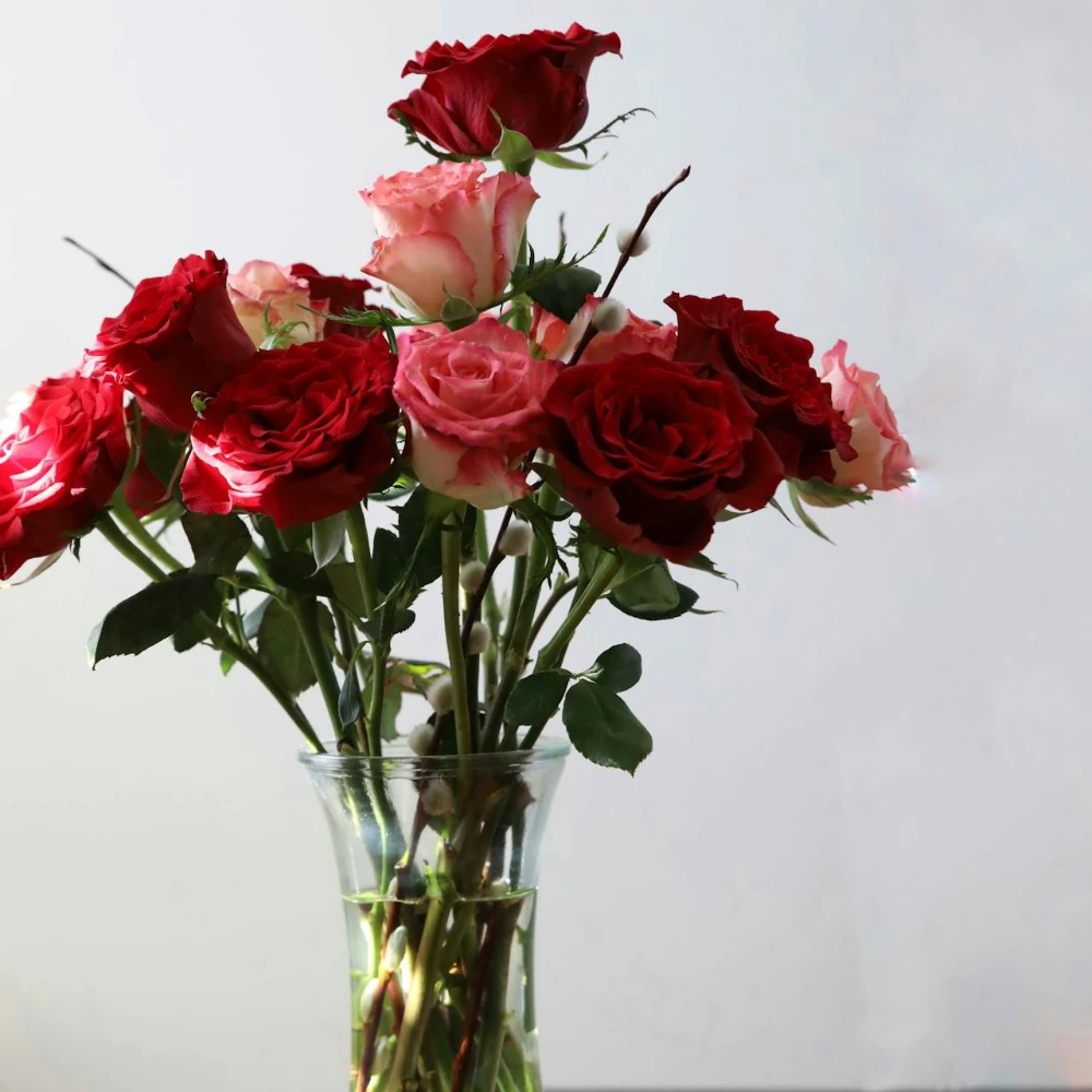 Entry-level Valentine’s Day rose arrangement in a vase