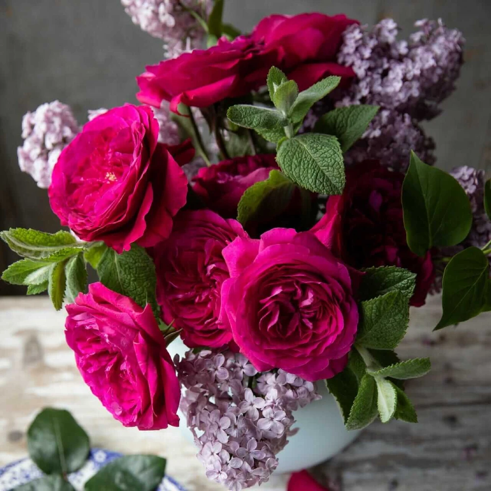 Mid-range Valentine’s Day flower arrangement with garden roses