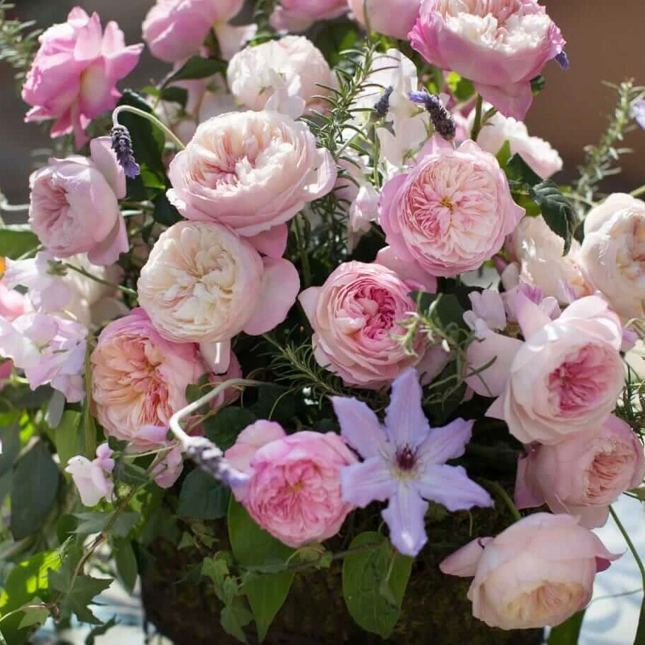 Premium Valentine’s Day arrangement featuring garden roses