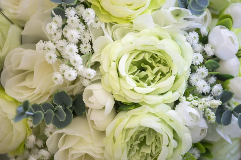 Close up of green and white ranunculus bouquet with eucalyptus and small white accent flowers