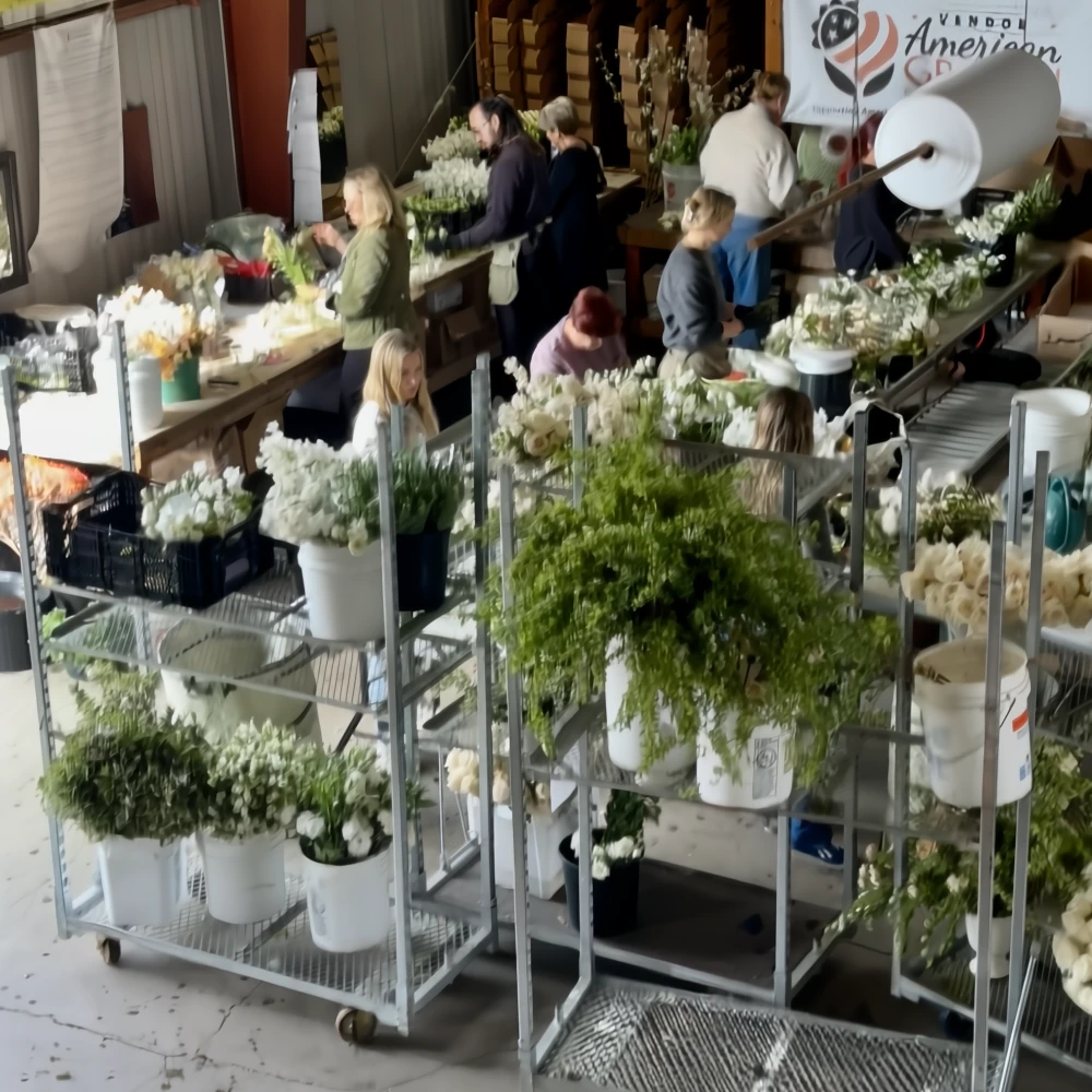 Florists and event designers working in the Florabundance Designer Corner surrounded by white flowers, greenery, and fresh floral arrangements during spring wedding season