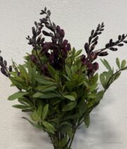 Lupine-purple