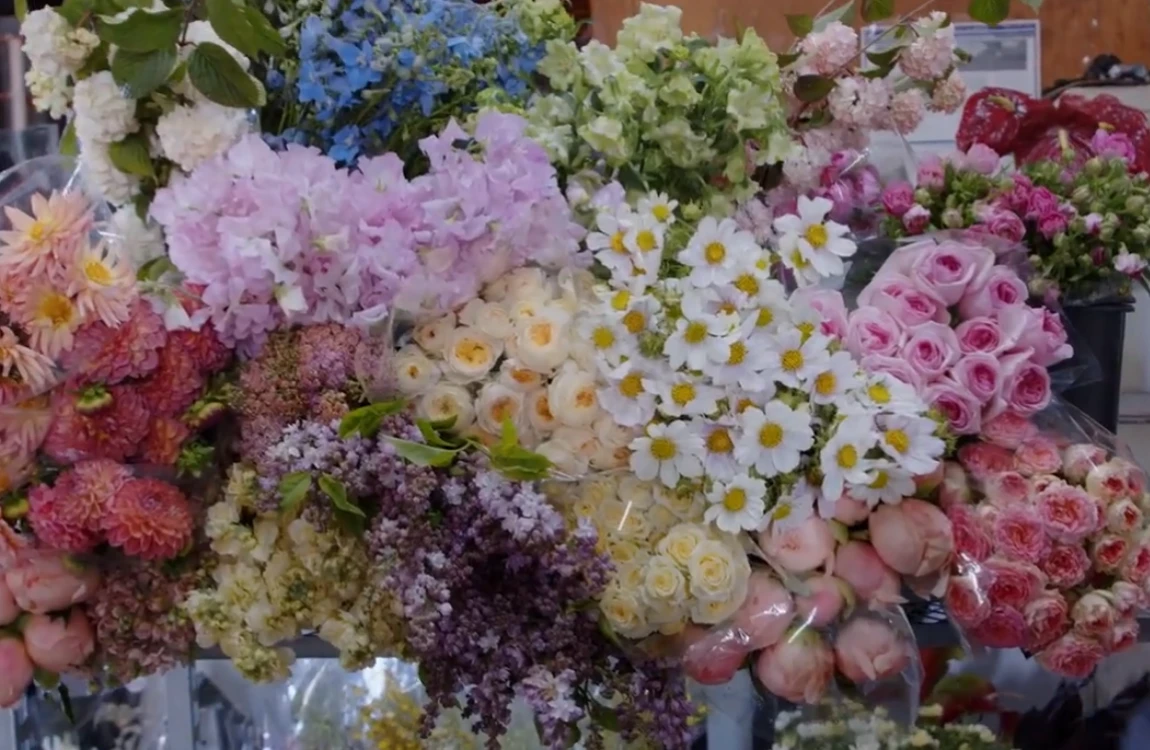 Seasonal June flowers including hydrangea, roses, peonies, spray roses, and specialty blooms displayed at Florabundance